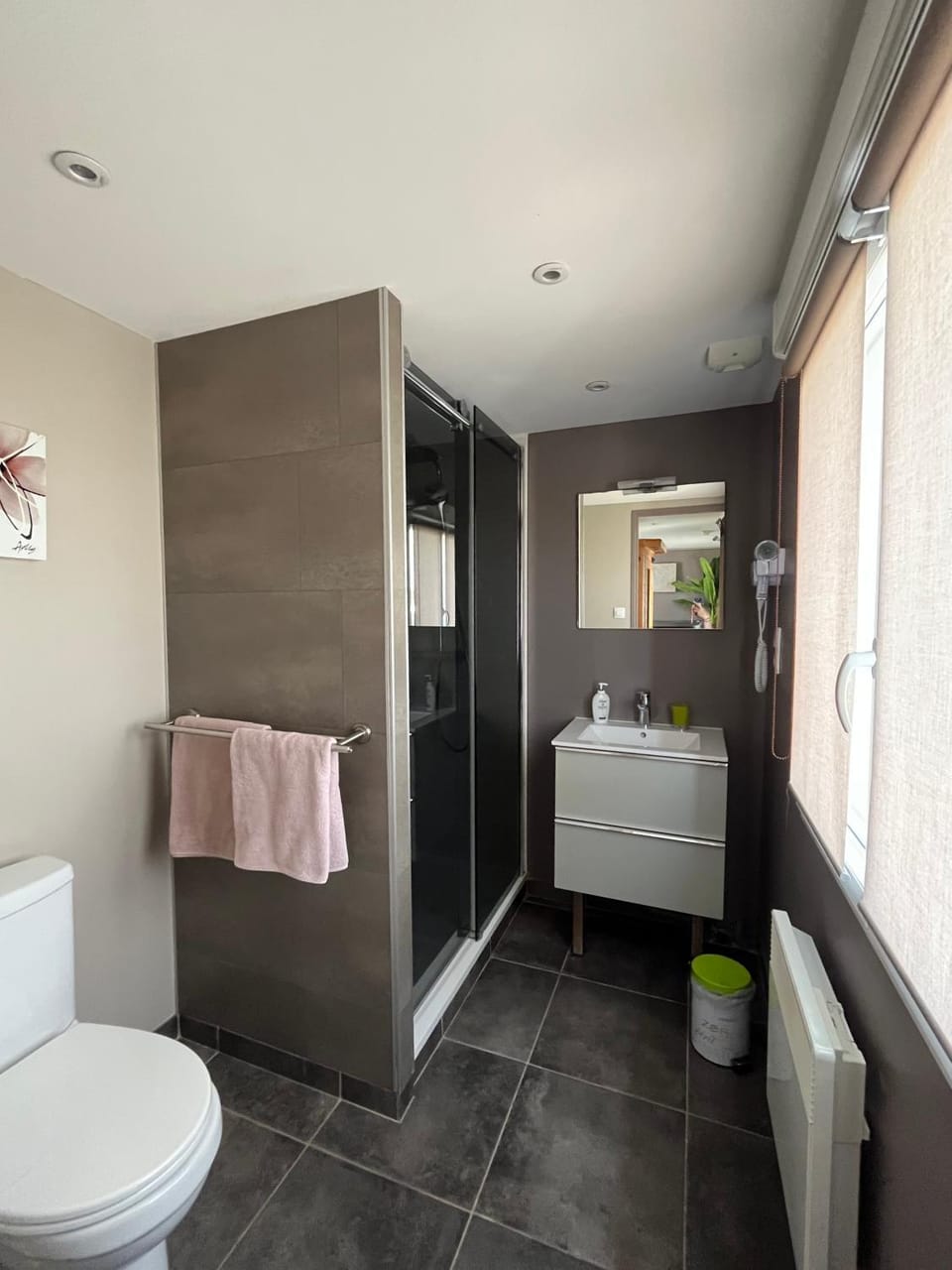 Shower, Toilet, Bathroom, towels