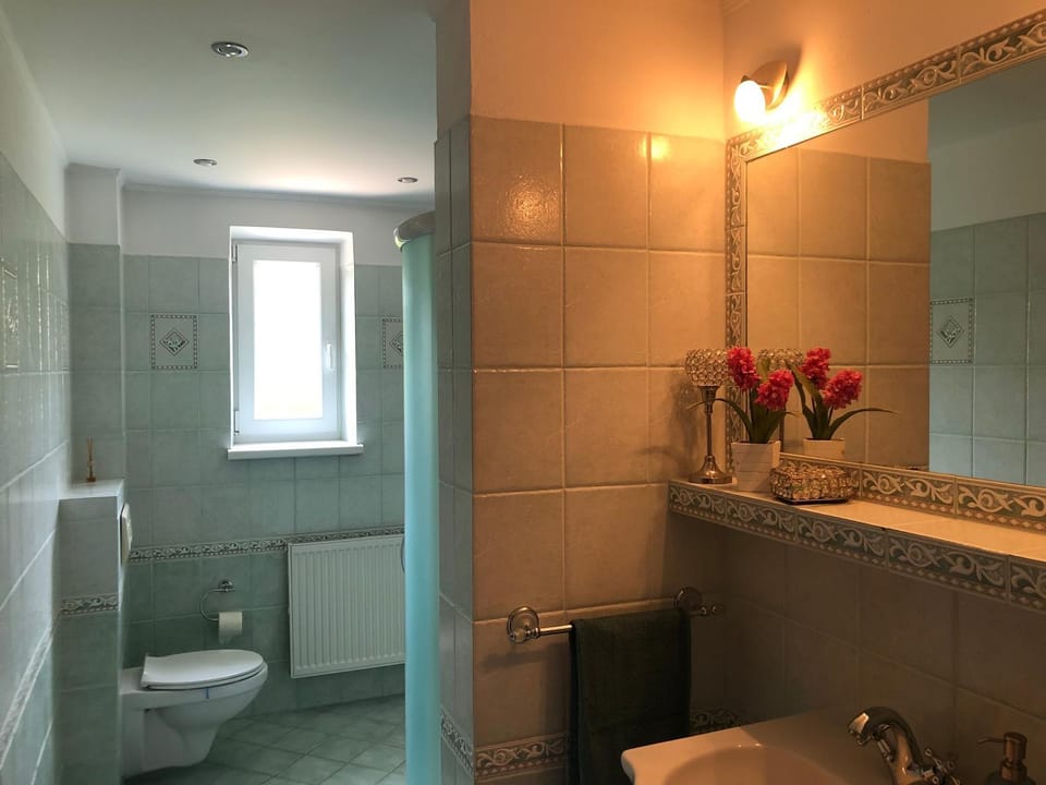 Shower, Toilet, Bathroom, towels