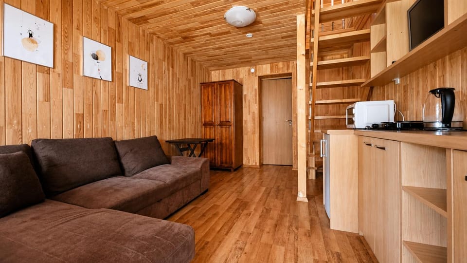 Living room, kitchen