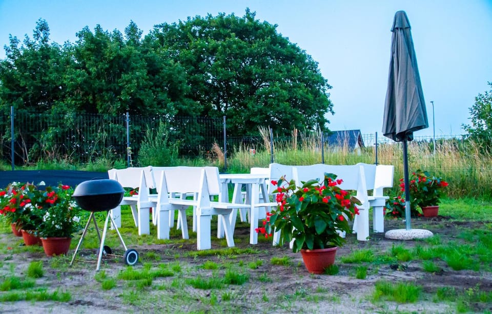 Spring, Day, Garden view