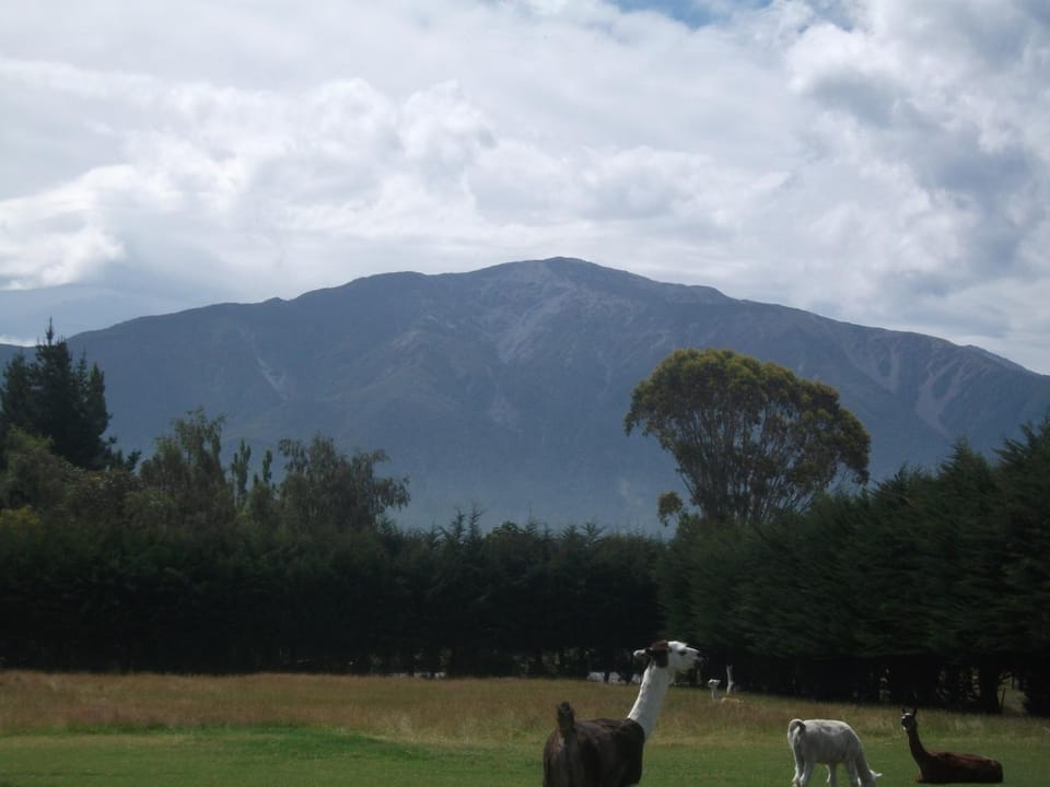 Mountain view