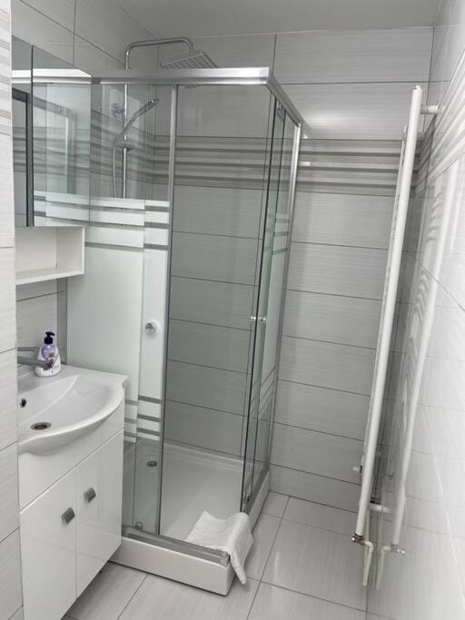 Apartament regim hotelier Apartment in Timiș County
