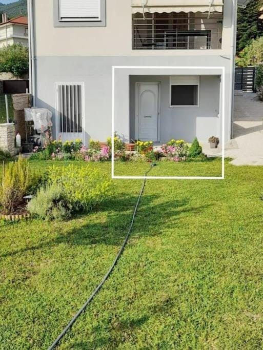 Garden, group of guests
