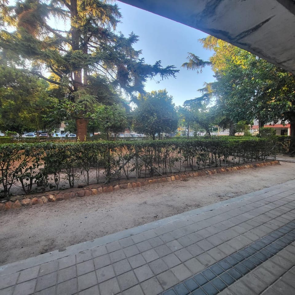Garden view