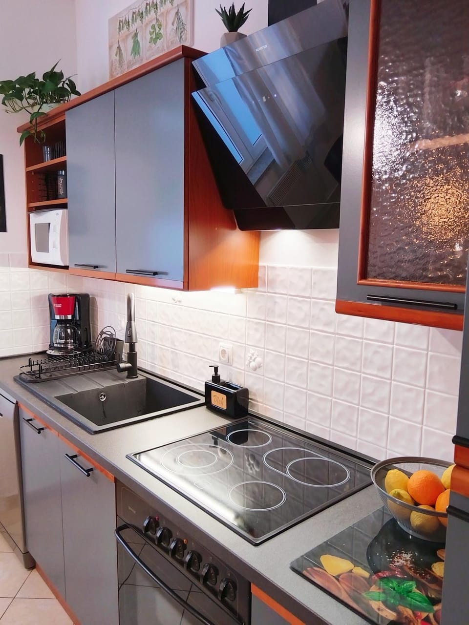 Kitchen or kitchenette, minibar, pet friendly, stove