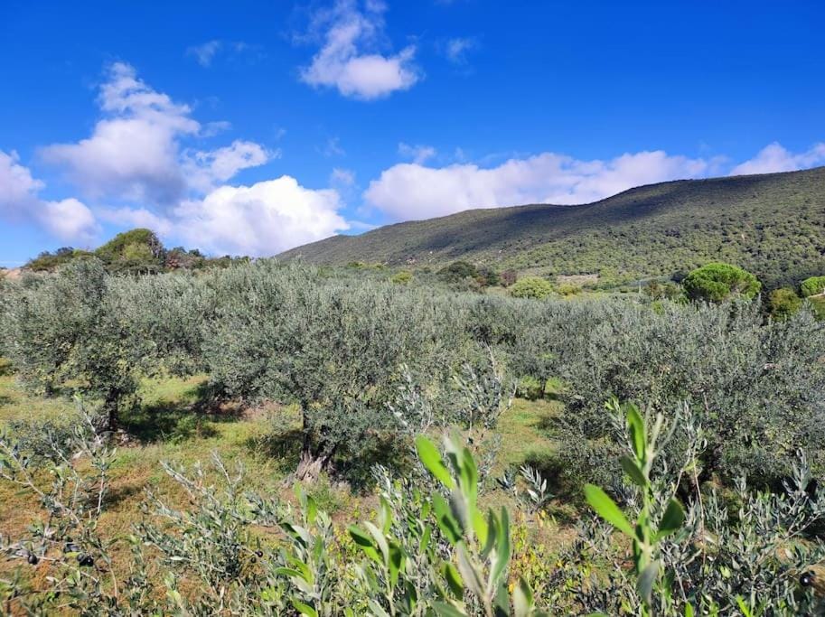Terre de Lumière 2. Apartment in Provence-Alpes-Côte d'Azur