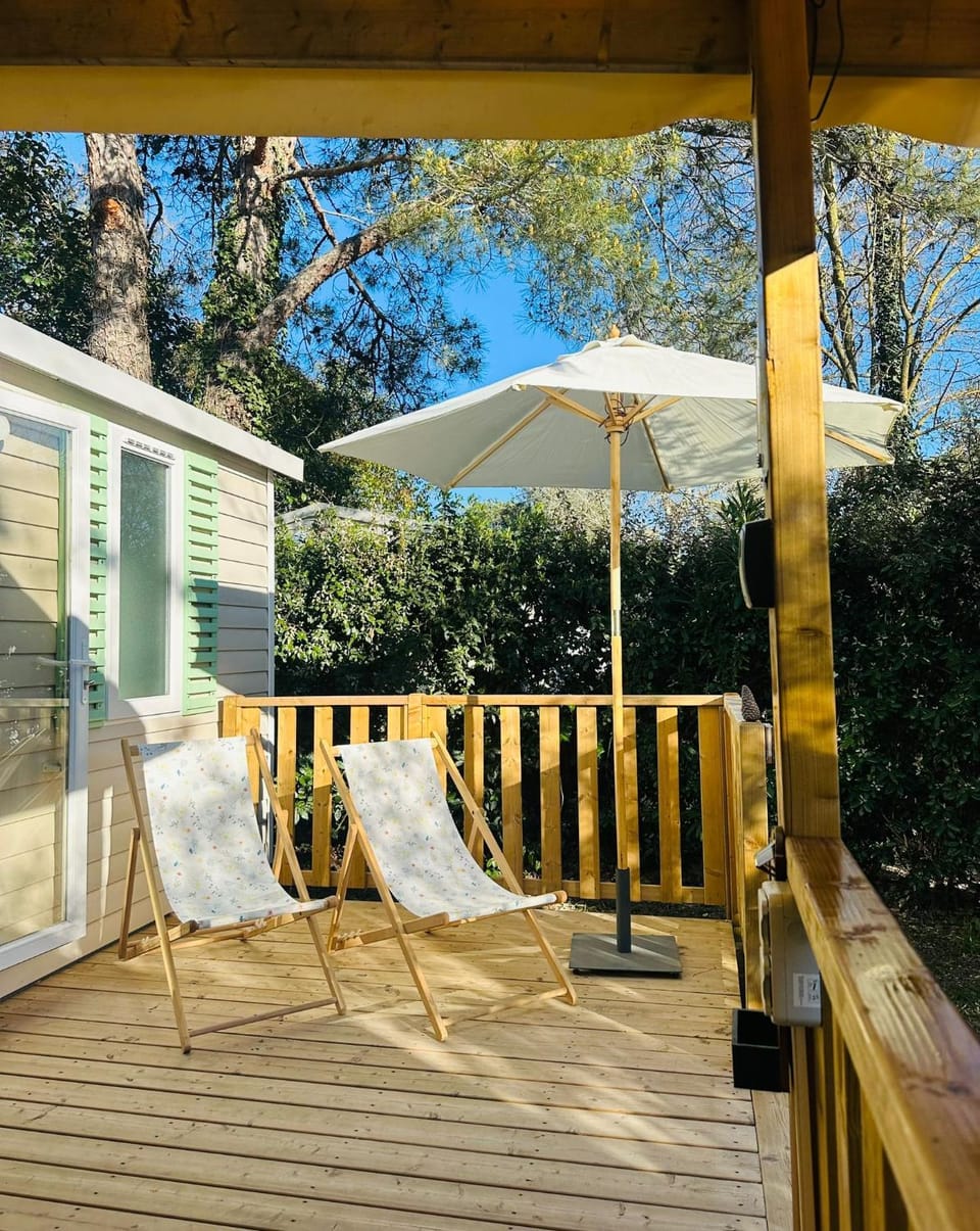 Patio, Balcony/Terrace, Balcony/Terrace, sunbed