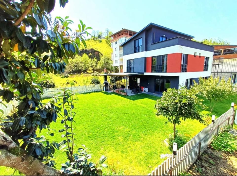 Spring, Day, Natural landscape, Garden, Garden view