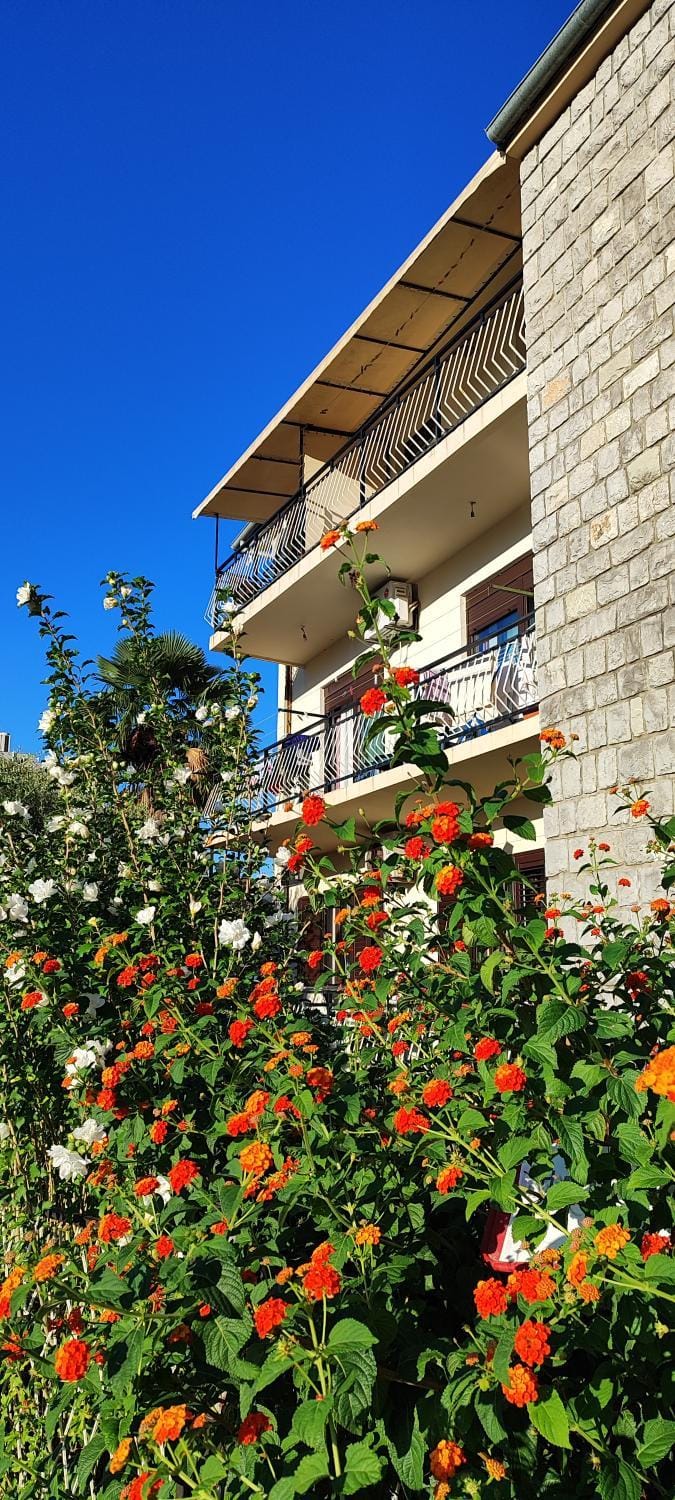 Sea and Sunshine 100m to beach,free parking,centar,View Apartment in Kotor Municipality