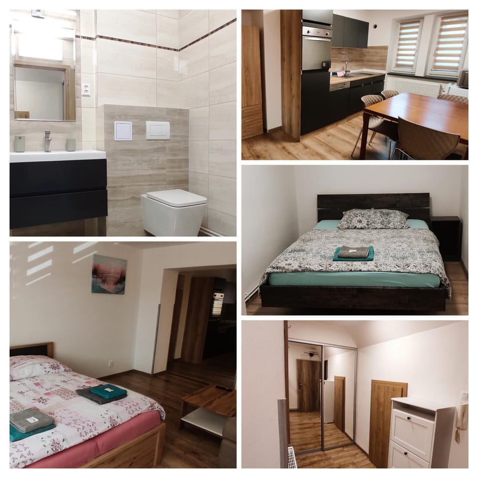 Bed, Bathroom, Kitchen or kitchenette, Photo of the whole room, Bedroom, minibar, oven