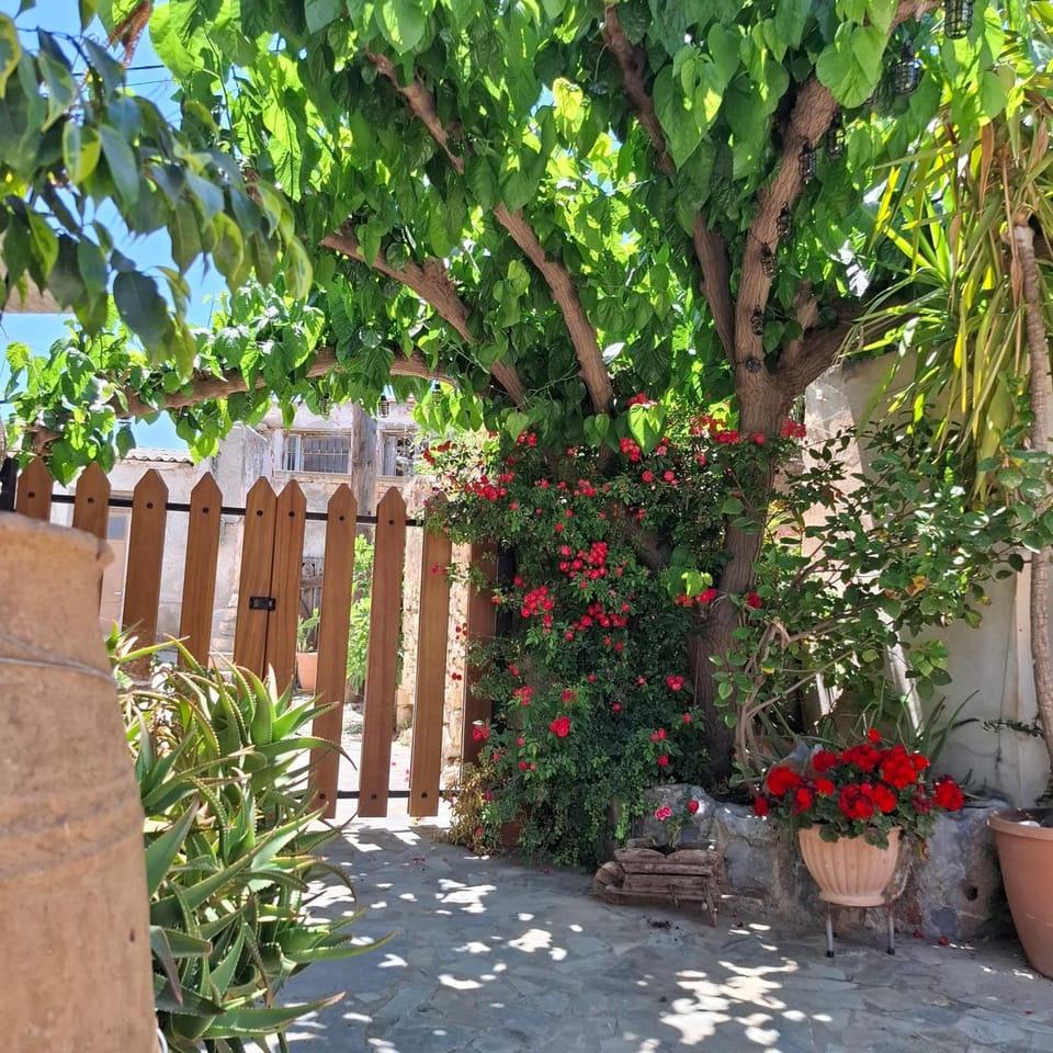 Spring, Day, Garden, Garden view