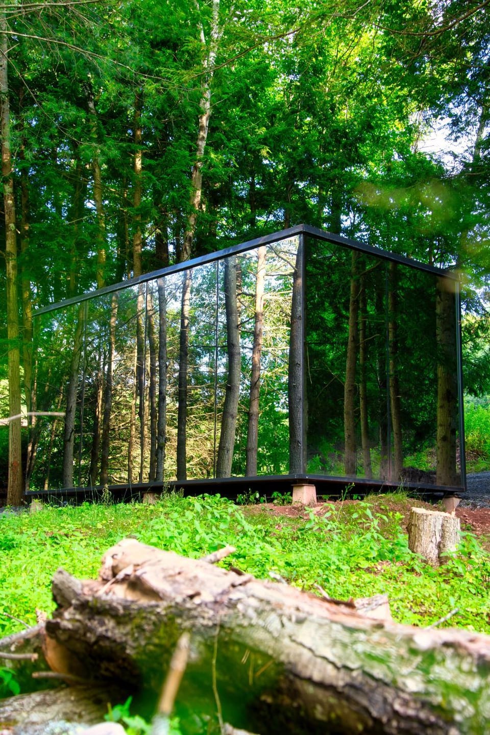 Natural landscape, Garden