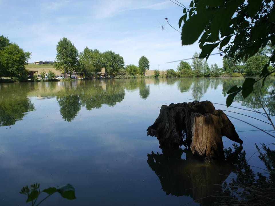Natural landscape, Lake view