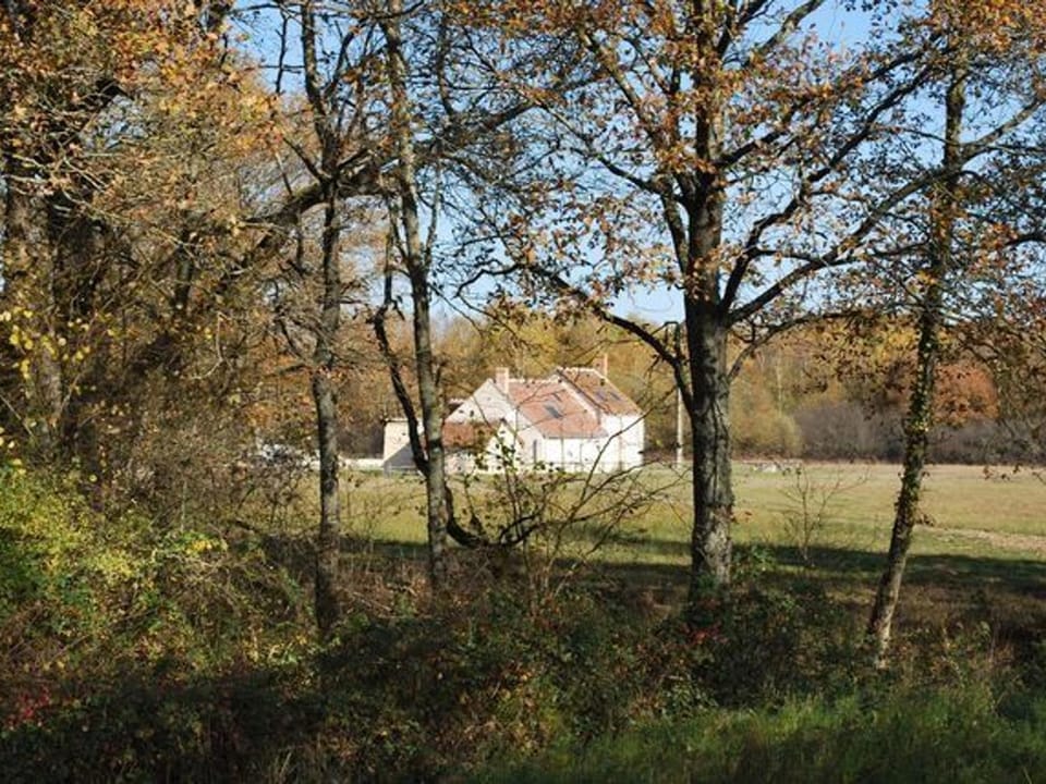 Maison solognote calme et boisée, proche châteaux Loire, golf, vélos, ping-pong - FR-1-590-34 House in Centre-Val de Loire