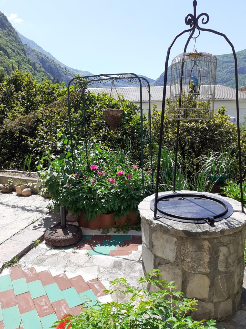 Day, Natural landscape, Garden, Garden view