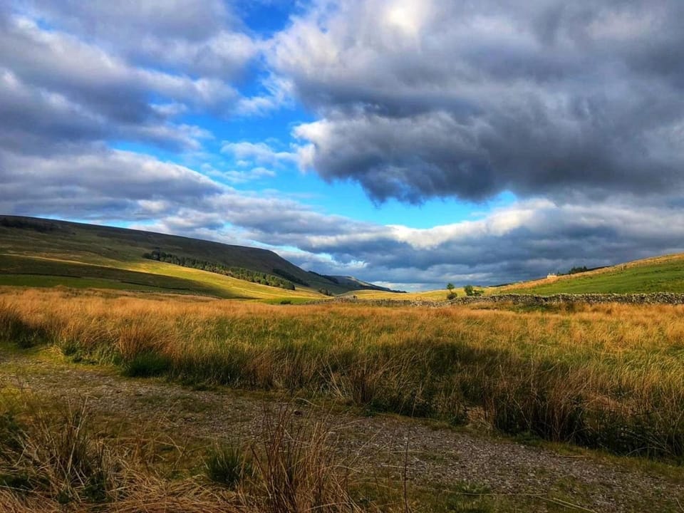 Off site, Day, Natural landscape, Summer, Garden, Hiking, Hiking, Mountain view
