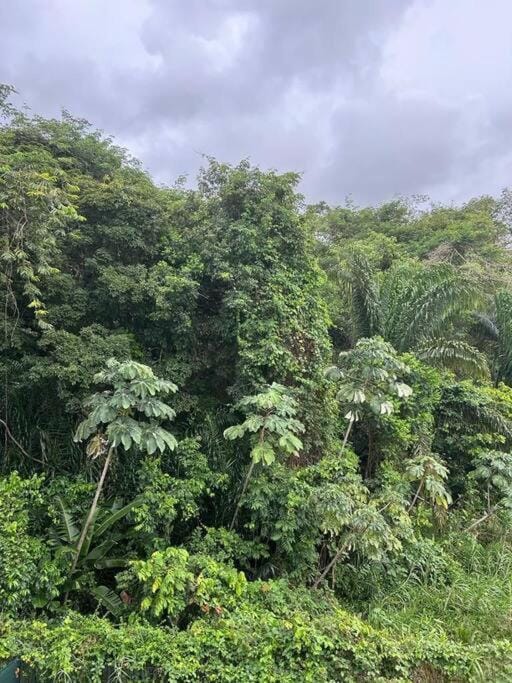 Cocon calme et reposant Apartment in Arrondissement of Cayenne, French Guiana