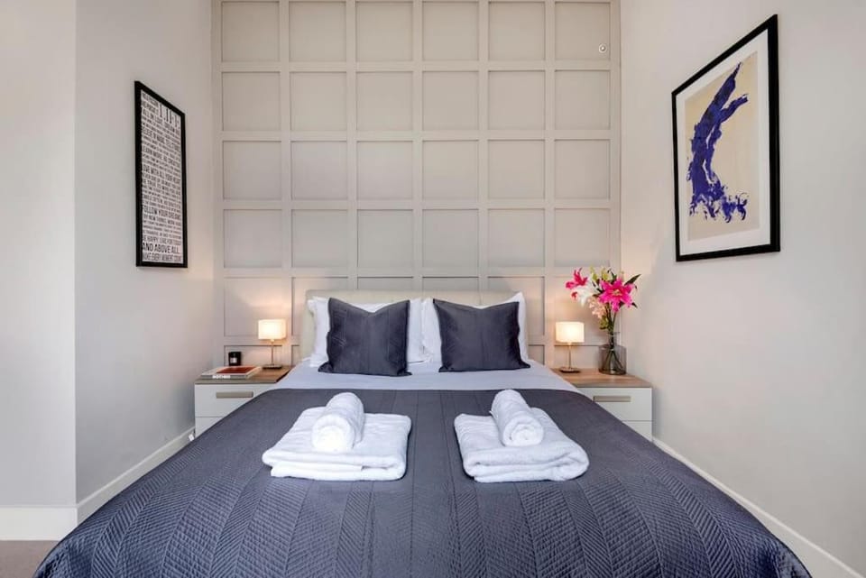 Contemporary Clapham Living Apartment in London