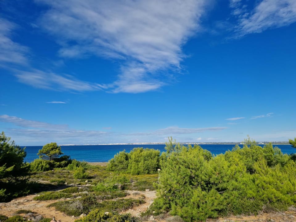 Natural landscape, Beach