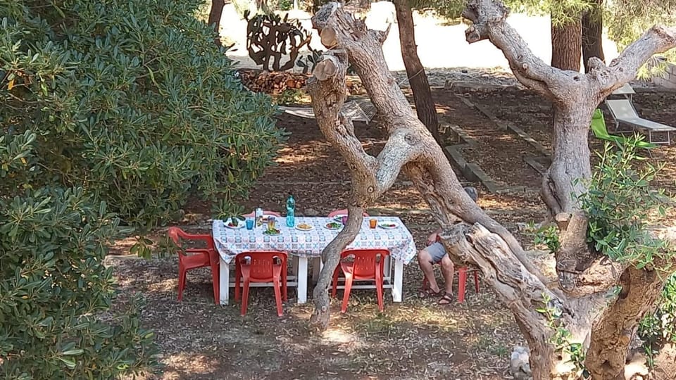 Garden, Dining area