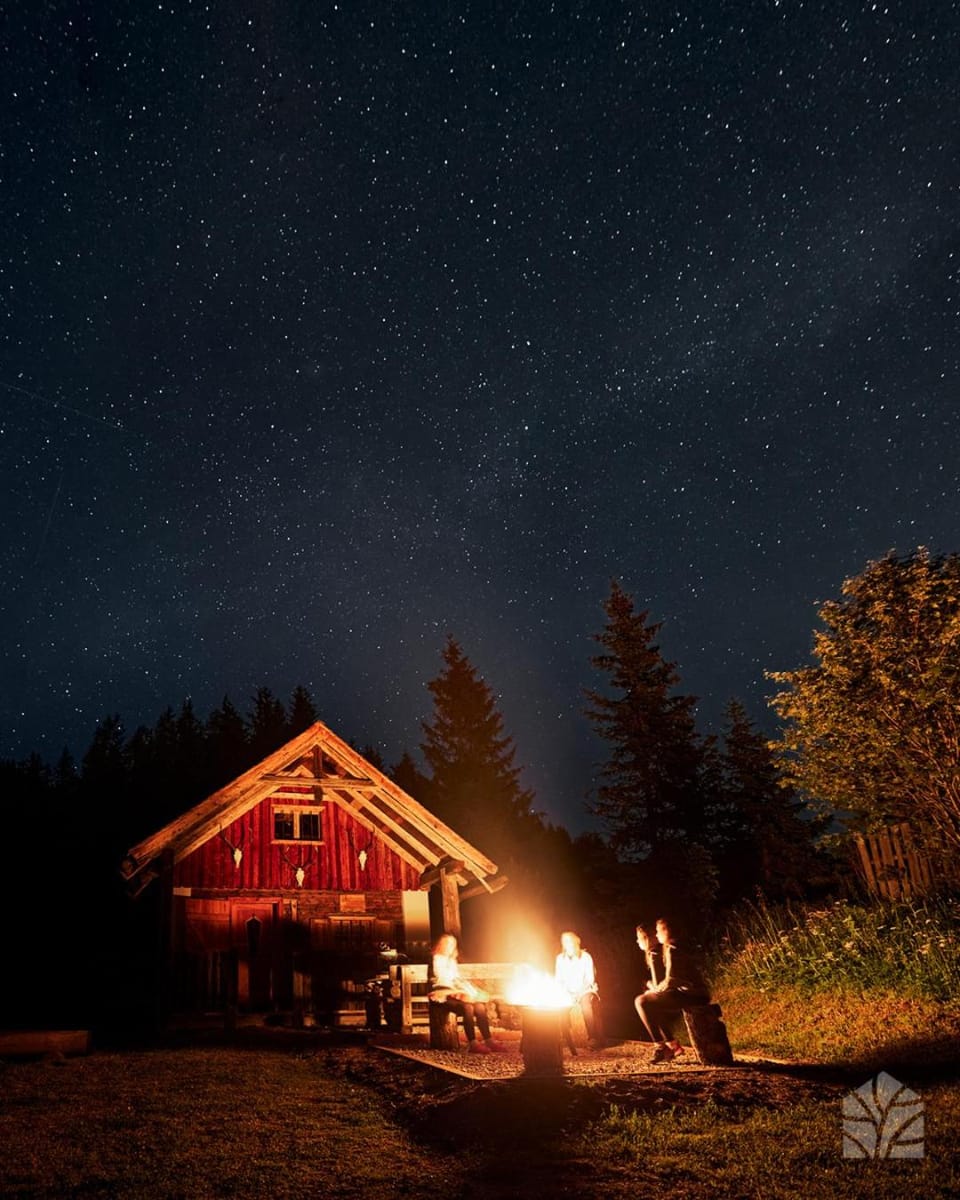 Night, group of guests