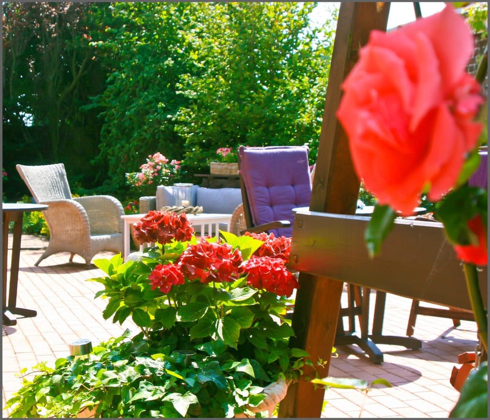 Garden, Balcony/Terrace
