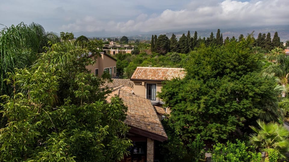 Property building, Day, Natural landscape, Bird's eye view, Garden