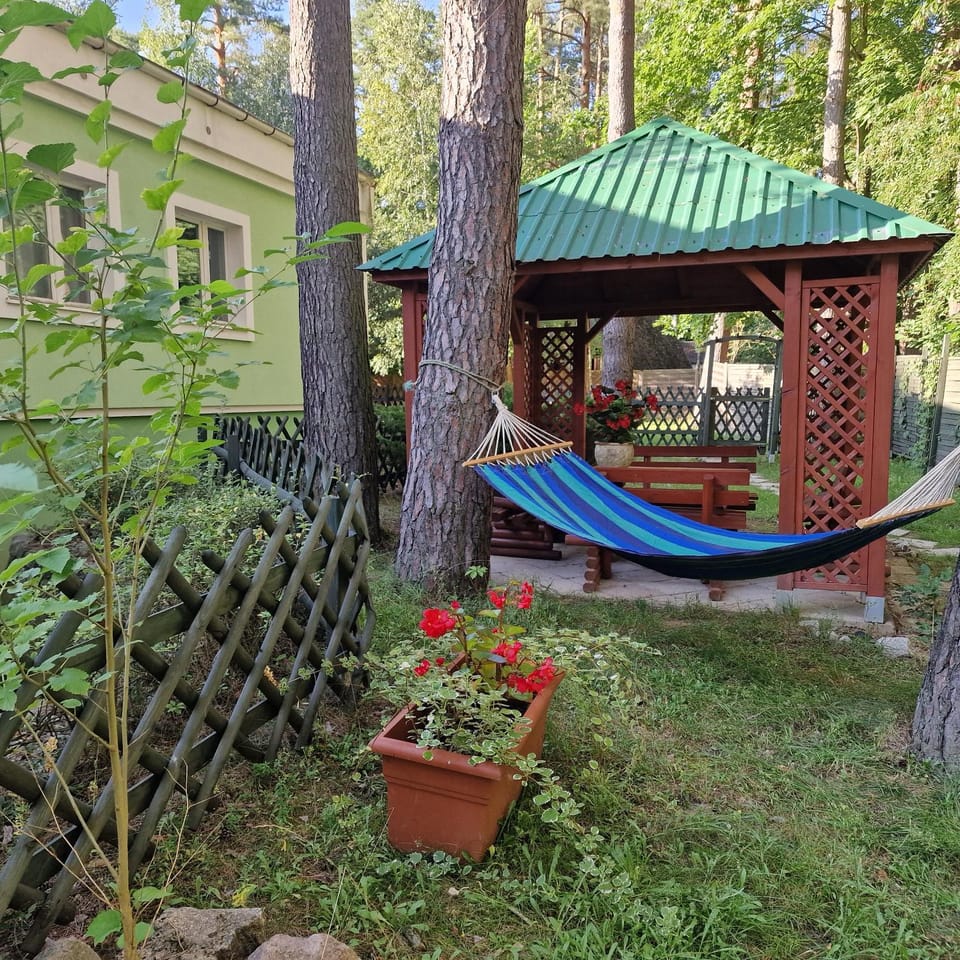 Natural landscape, Garden, Garden view