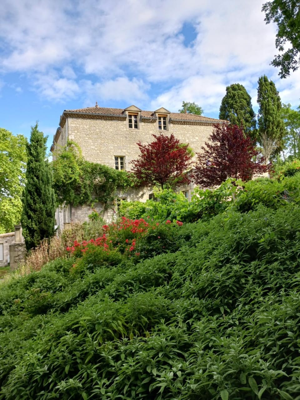 Property building, Garden
