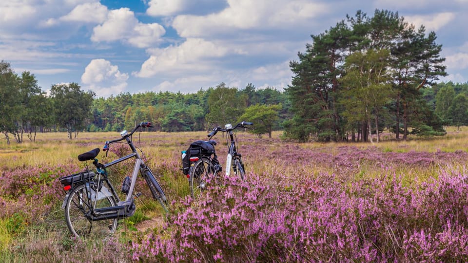 Natural landscape, Activities, Cycling