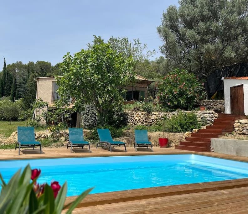 Patio, Garden, Garden view, Swimming pool, sunbed