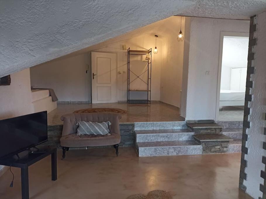 Cozy house Apartment in Halkidiki