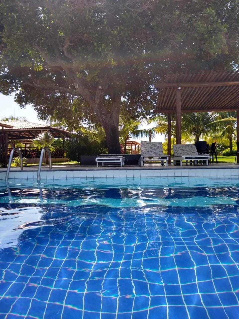 Swimming pool, Swimming pool