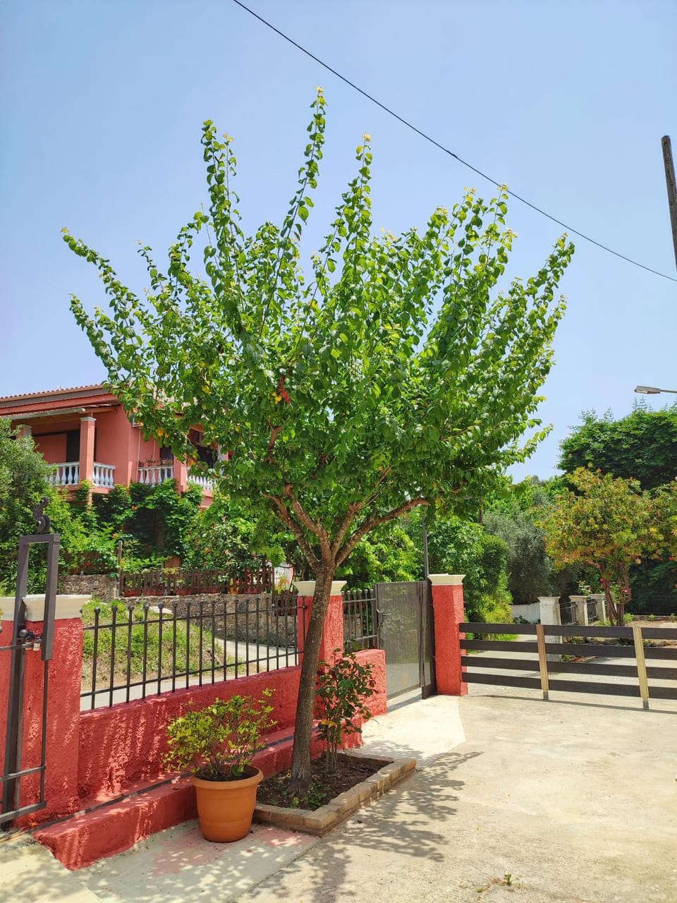 Property building, Garden view