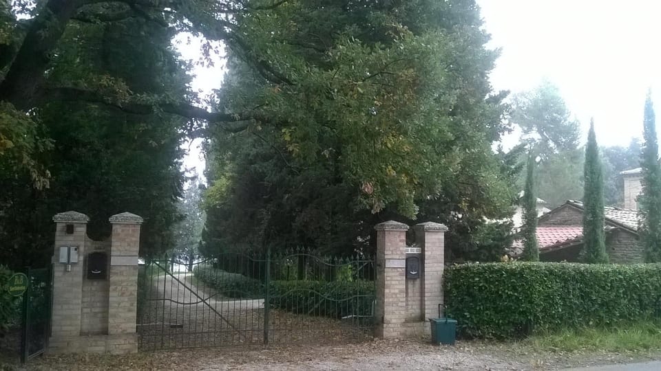 Facade/entrance, Garden