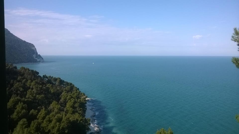 Windsurfing, On site
