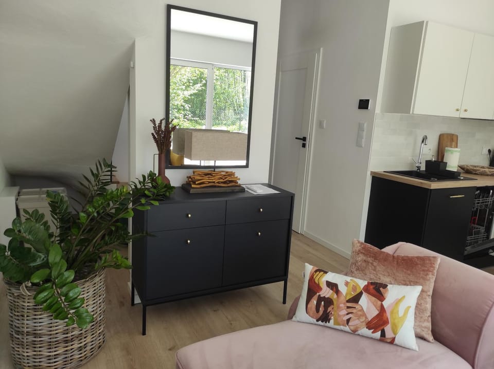 Źródlana Apartamenty - całoroczne domy na wyłączność Apartment in Pomeranian Voivodeship