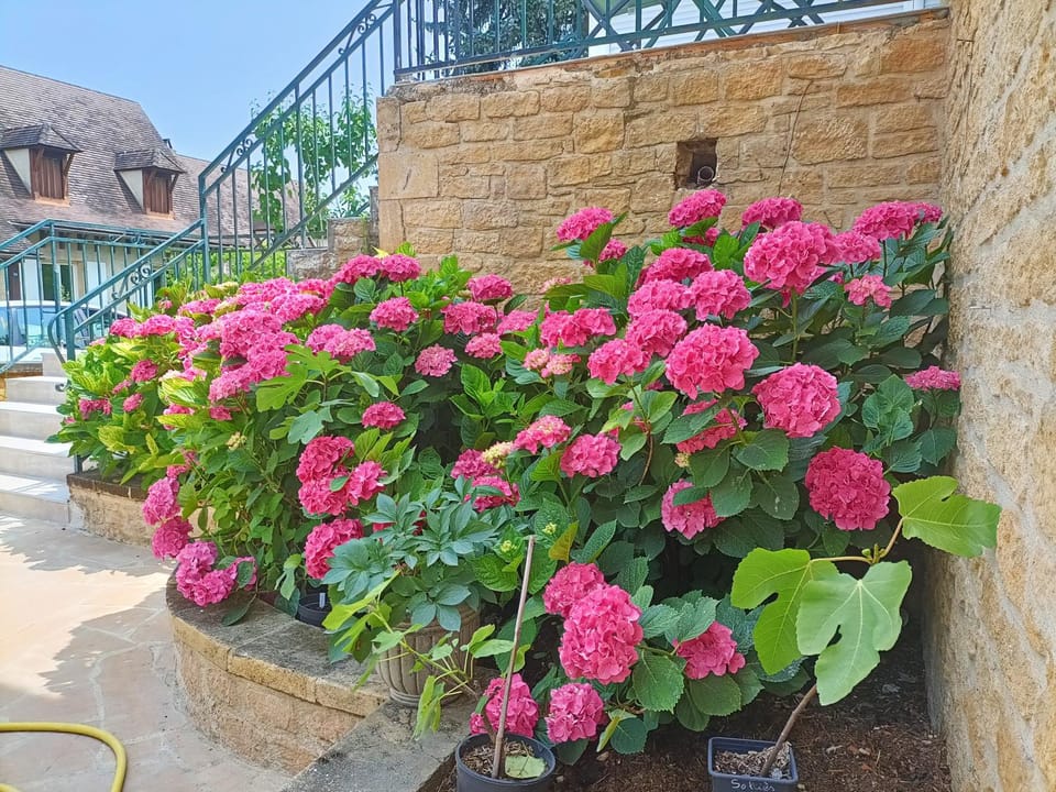 La Villa Perigourdine Bed and Breakfast in Occitanie