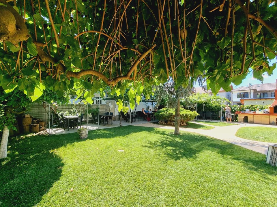 Meals, Inner courtyard view