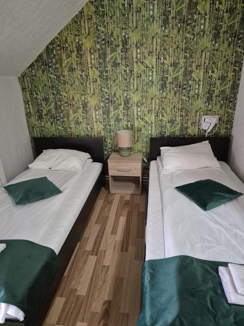 CASA ARIAN Vacation rental in Serbia