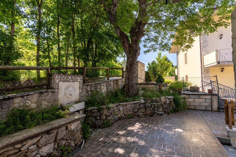 Garden view