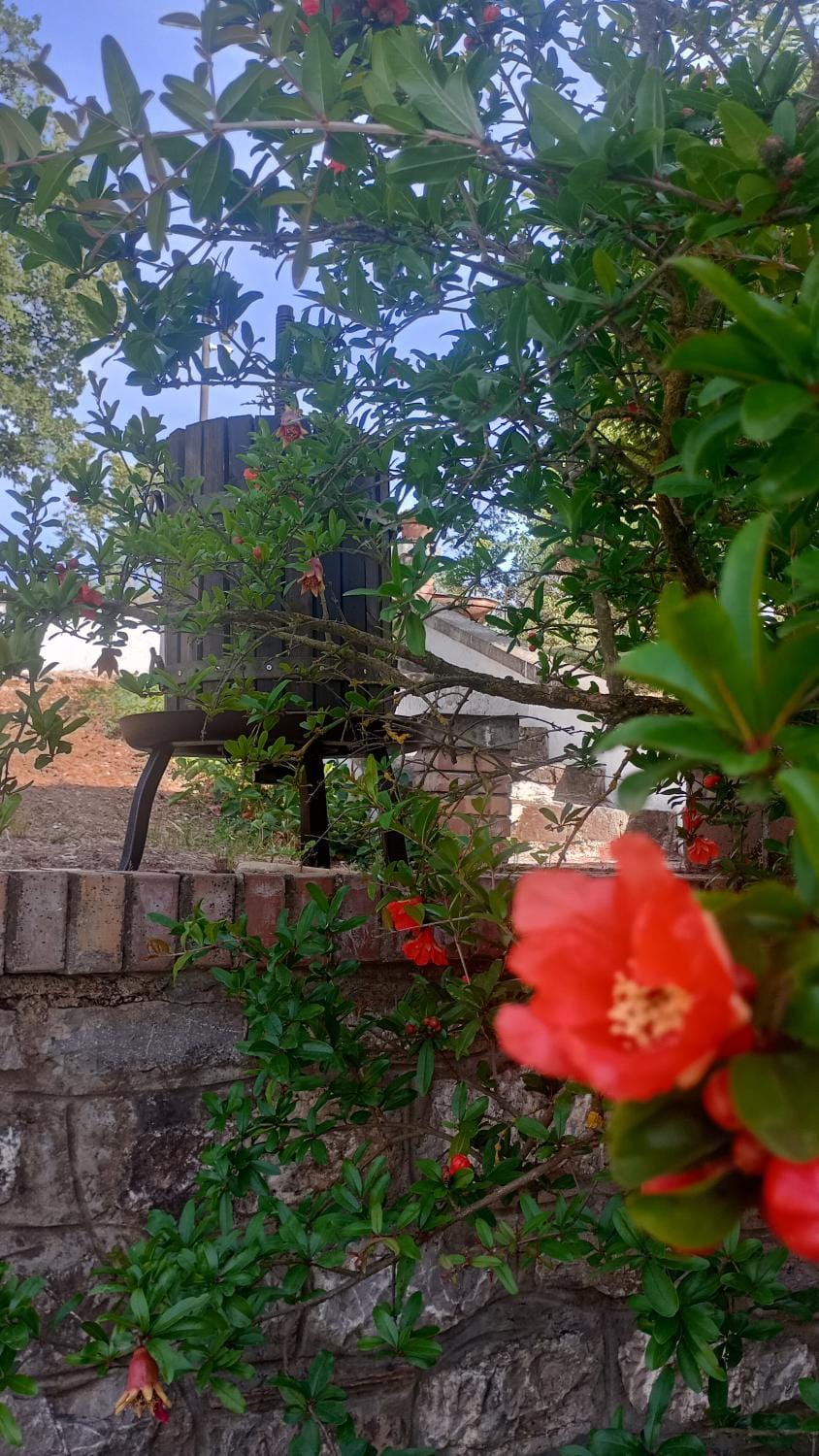 Garden, Garden view