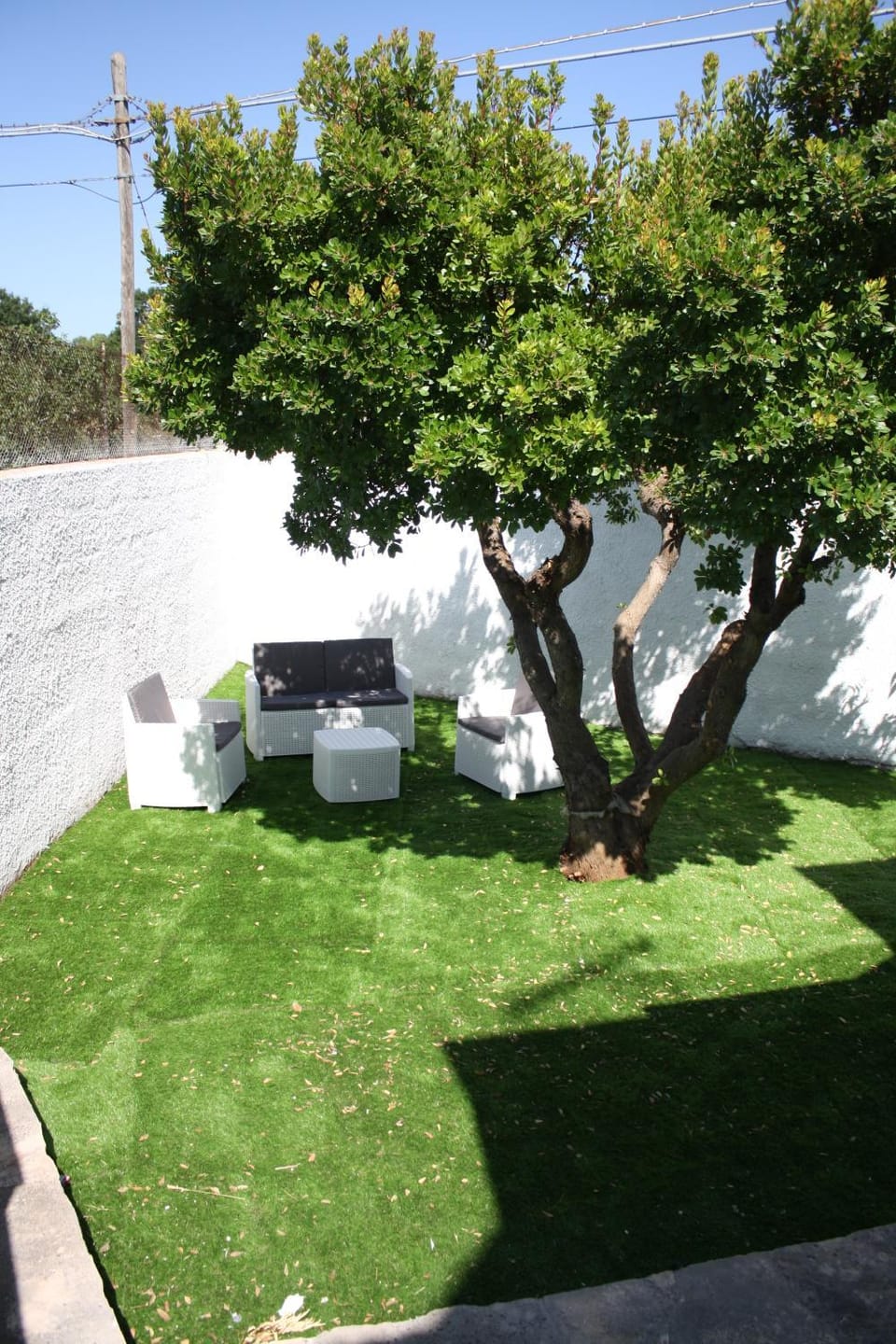 Day, Garden, Garden view