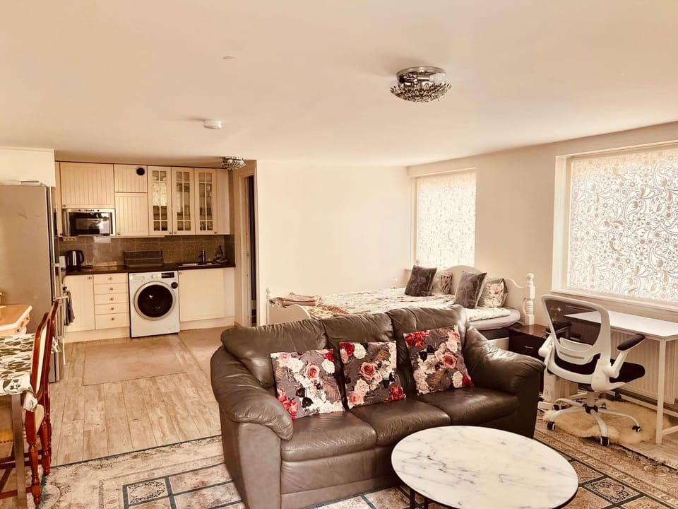 Living room, microwave, oven, washing machine