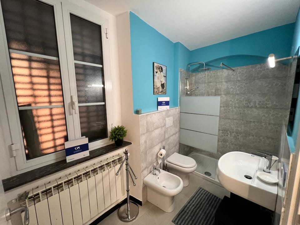 Shower, Toilet, Bathroom, bidet