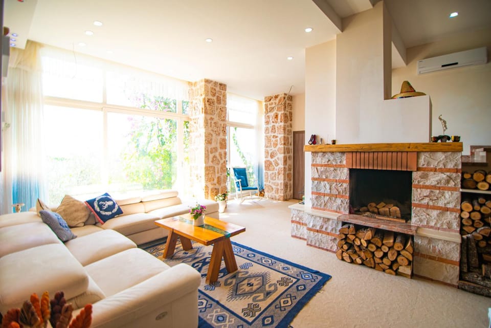 Living room, fireplace, flat iron, air conditioner