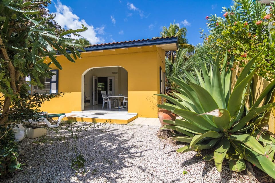 28 Casa Kokolishi House in Venezuela