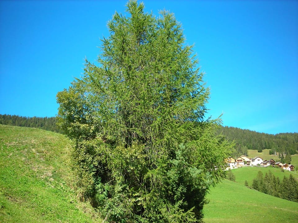 Natural landscape