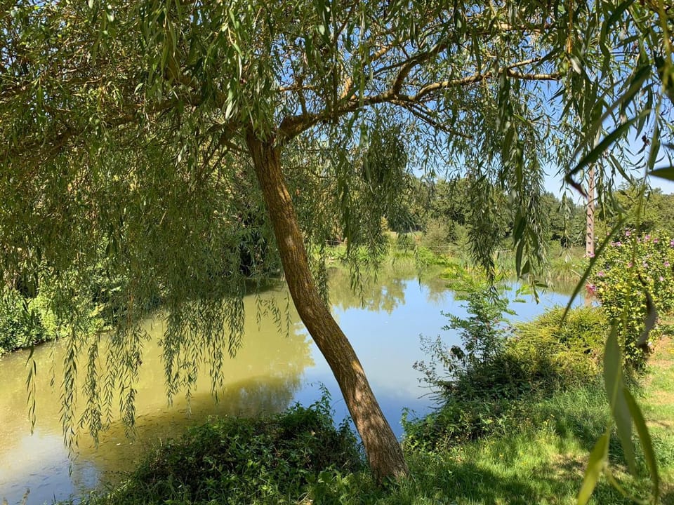 La Maison Rouziès Bed and Breakfast in Auvergne-Rhône-Alpes
