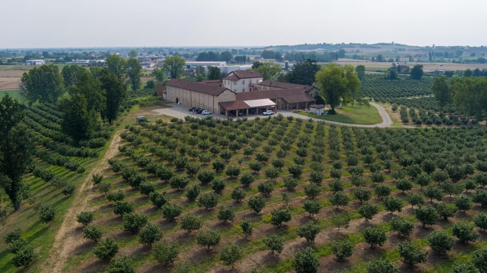 Property building, Day, Natural landscape, Bird's eye view, Garden, Garden view